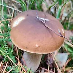 Mazurski Oddech 빌라 *